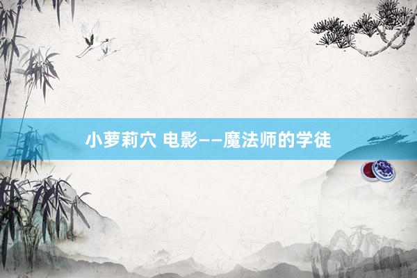 小萝莉穴 电影——魔法师的学徒