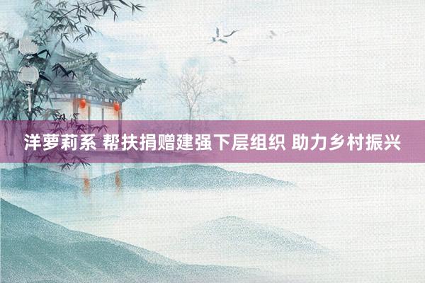 洋萝莉系 帮扶捐赠建强下层组织 助力乡村振兴