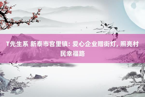T先生系 新泰市宫里镇: 爱心企业赠街灯， 照亮村民幸福路