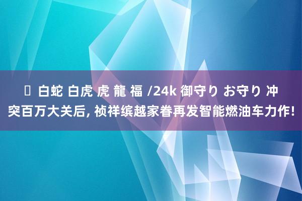 ✨白蛇 白虎 虎 龍 福 /24k 御守り お守り 冲突百万大关后， 祯祥缤越家眷再发智能燃油车力作!
